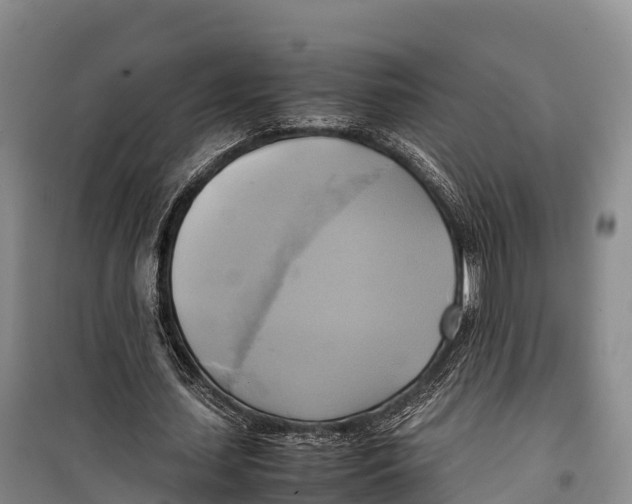 X0000099230627200805151630