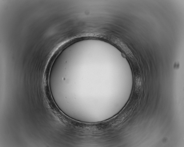 X0000099230628200805151630