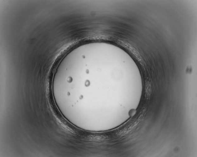 X0000099230629200805151630