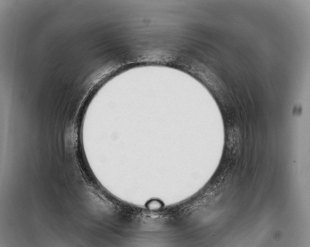 X0000099230632200805151630