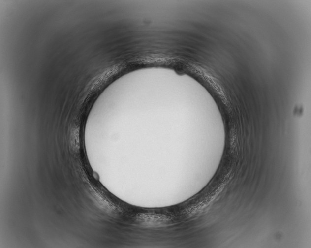 X0000099230633200805151630