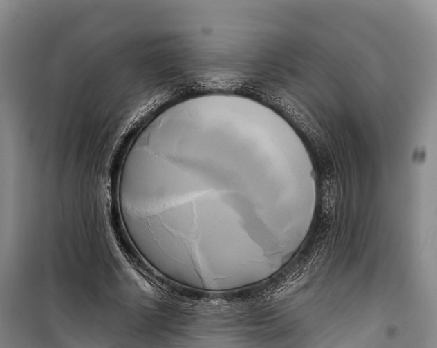 X0000099230634200805151630