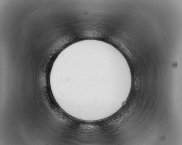 X0000099230635200805151630