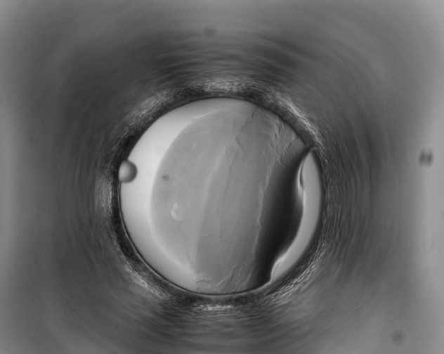 X0000099230637200805151630