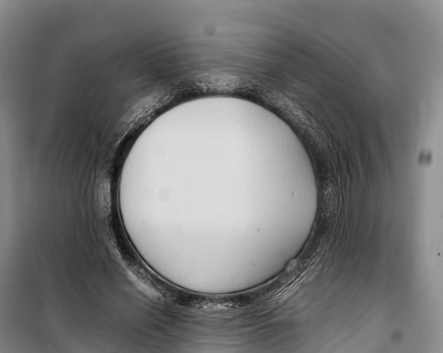 X0000099230638200805151630