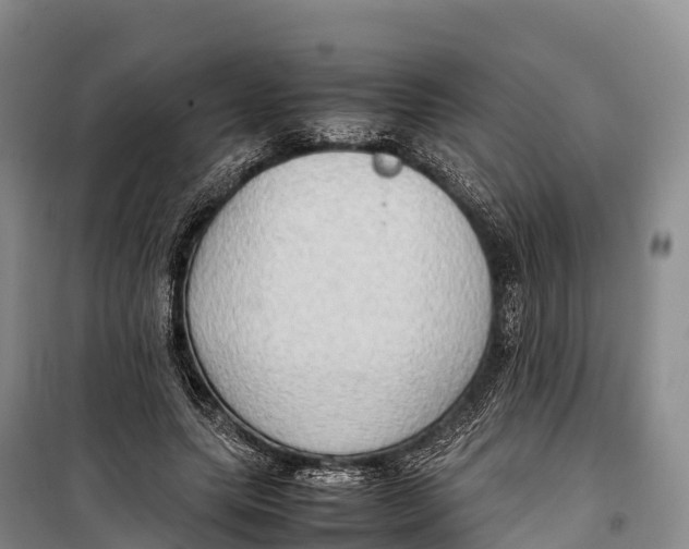 X0000099230639200805151630