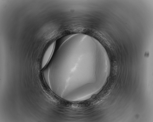 X0000099230641200805151630