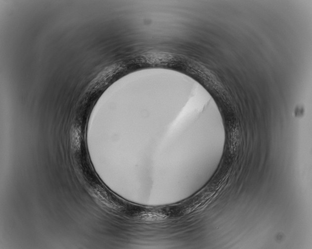 X0000099230644200805151630