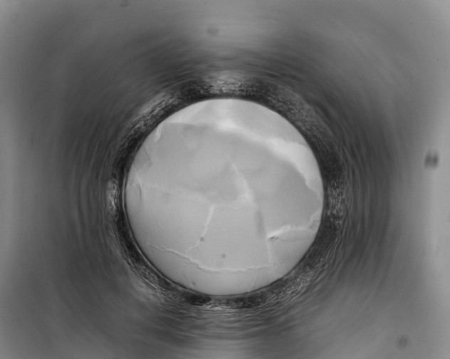 X0000099230648200805151631