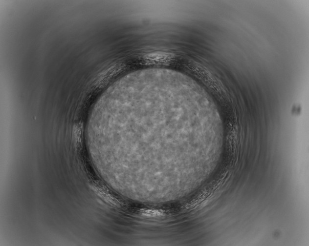 X0000099230649200805151631