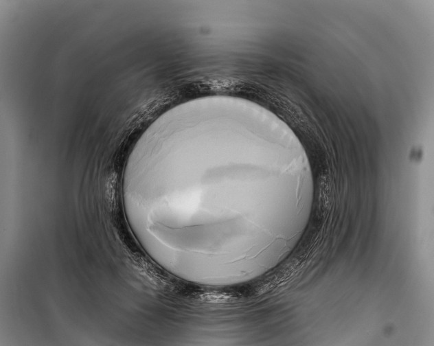 X0000099230650200805151631