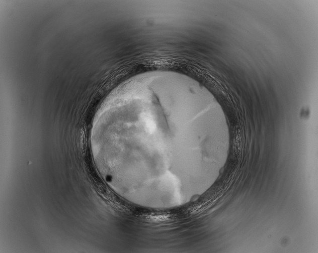 X0000099230651200805151631