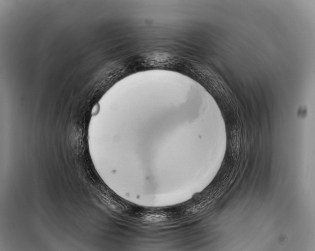 X0000099230653200805151631