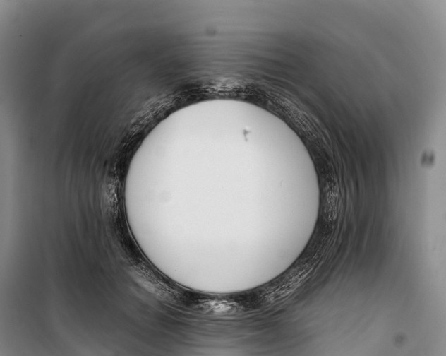 X0000099230654200805151631