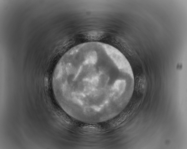 X0000099230655200805151631