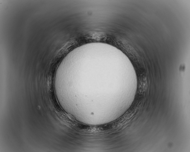 X0000099230656200805151631