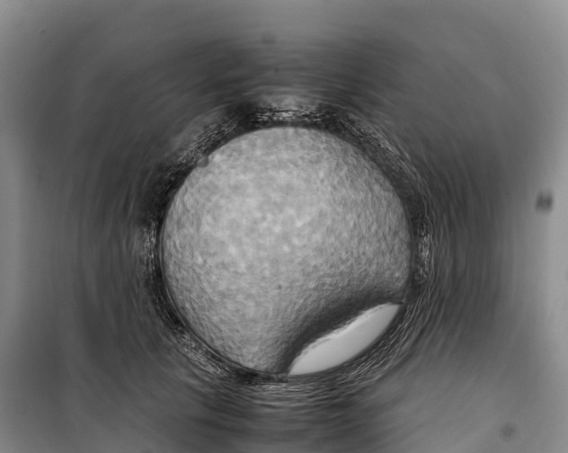 X0000099230657200805151631