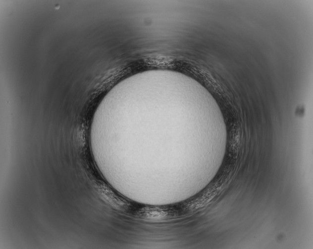 X0000099230658200805151631