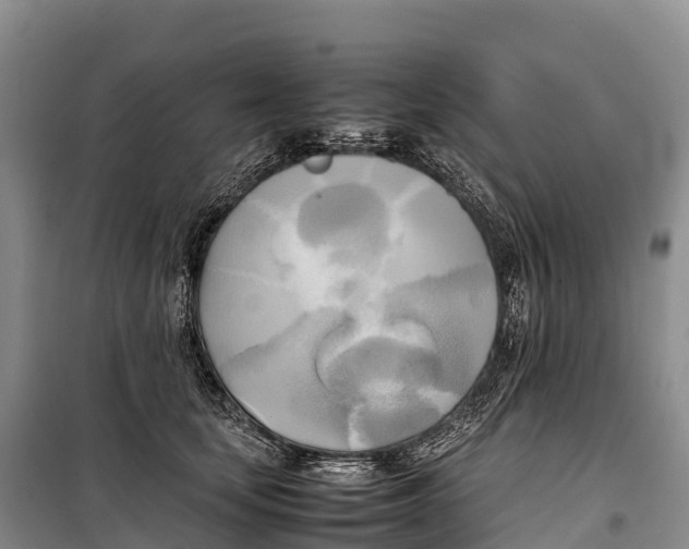 X0000099230659200805151631