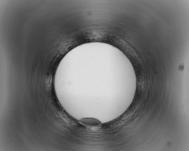 X0000099230660200805151631