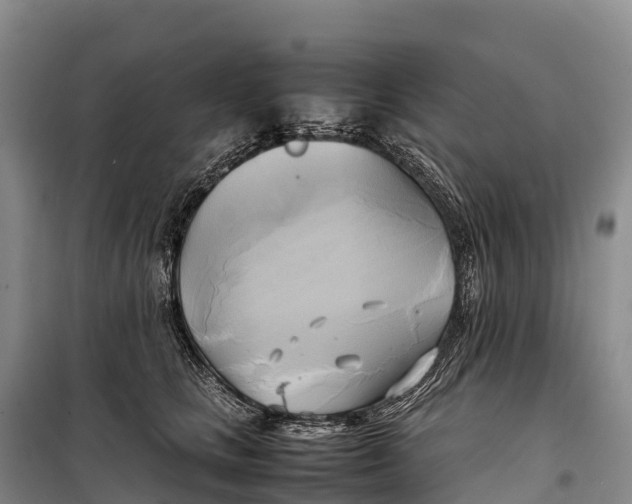 X0000099230661200805151631