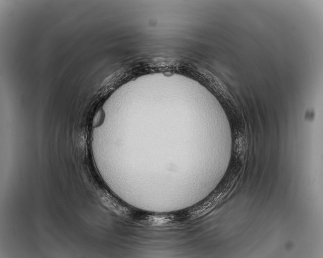 X0000099230662200805151631