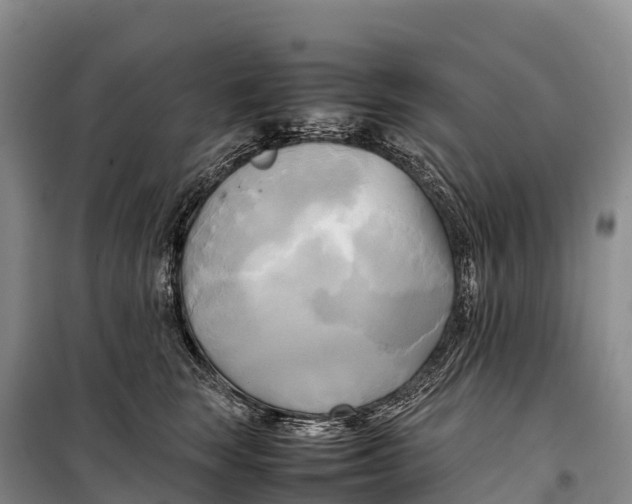 X0000099230663200805151631