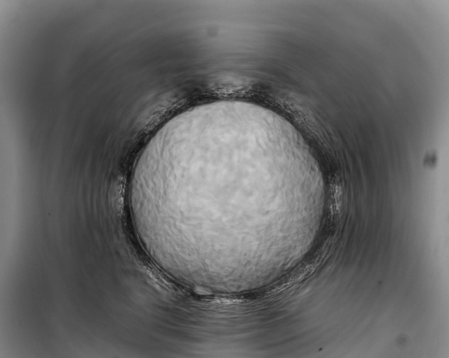 X0000099230664200805151631