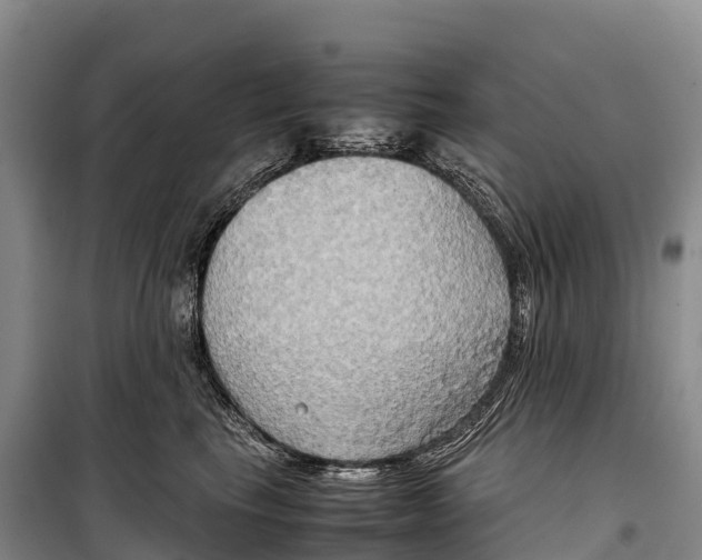 X0000099230665200805151631