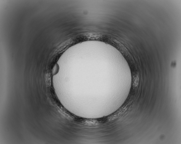 X0000099230666200805151631