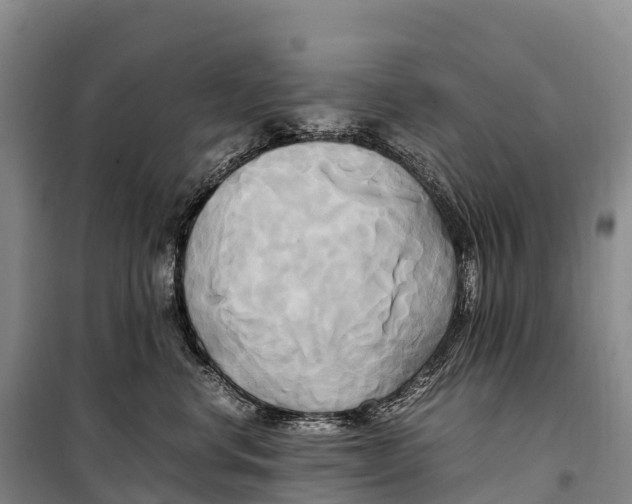 X0000099230668200805151631