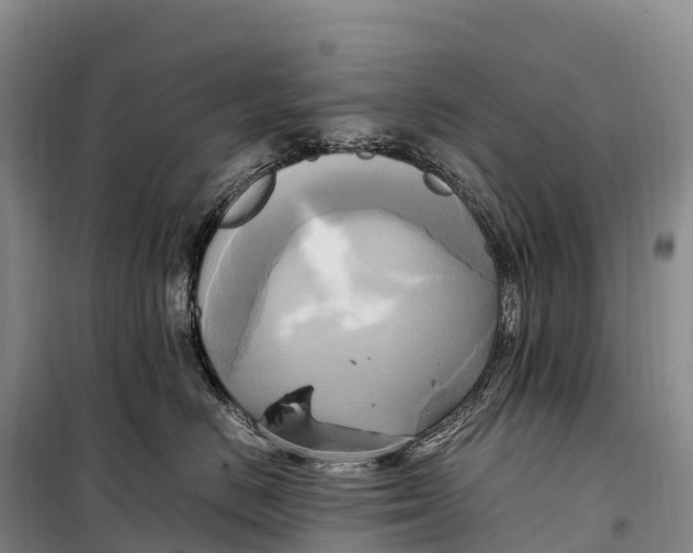 X0000099230670200805151631