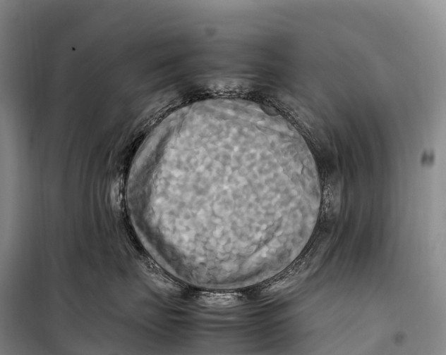 X0000099230671200805151631