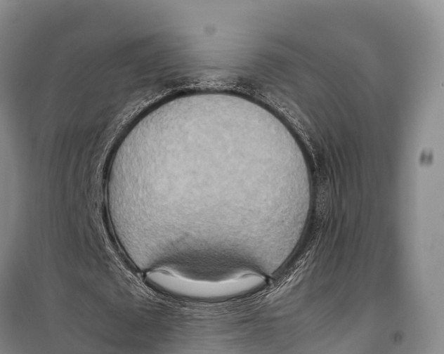 X0000099230673200805151630