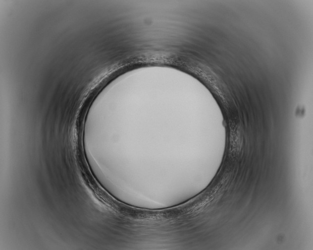 X0000099230674200805151630