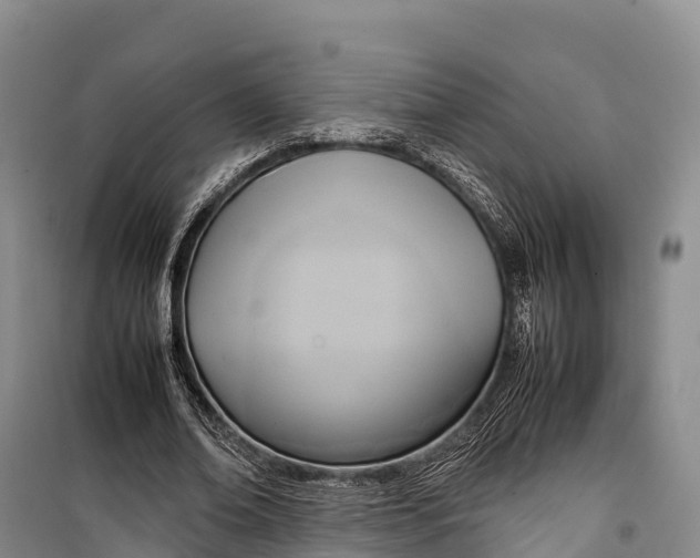 X0000099230678200805151630