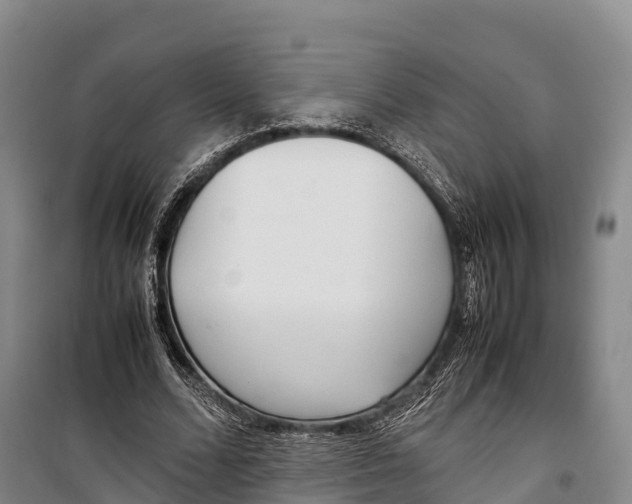 X0000099230680200805151630