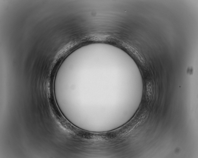 X0000099230682200805151630