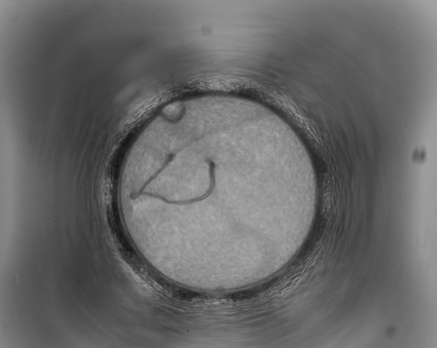 X0000099230683200805151630