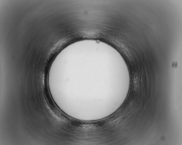 X0000099230686200805151630