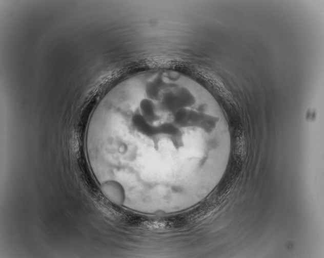 X0000099230687200805151630