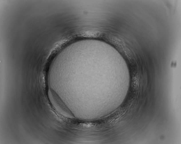 X0000099230688200805151630