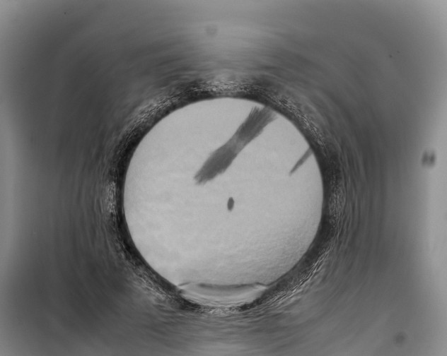 X0000099230689200805151630