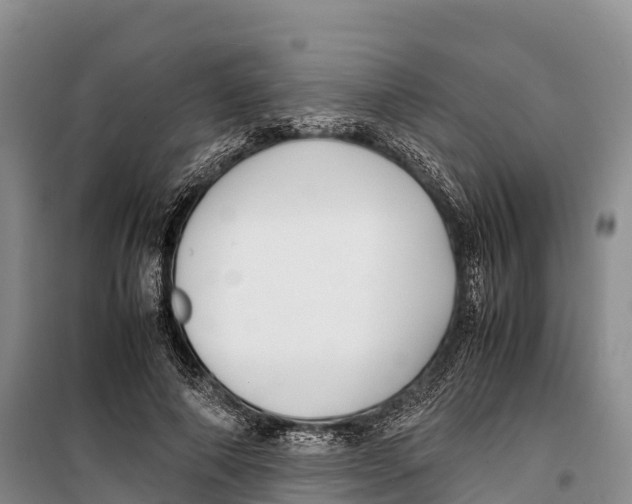 X0000099230690200805151630