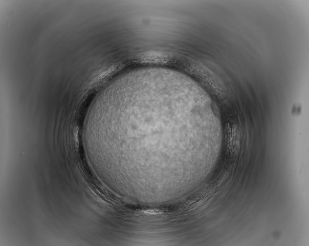 X0000099230692200805151630