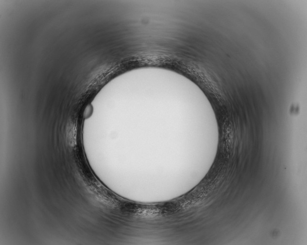 X0000099230694200805151630