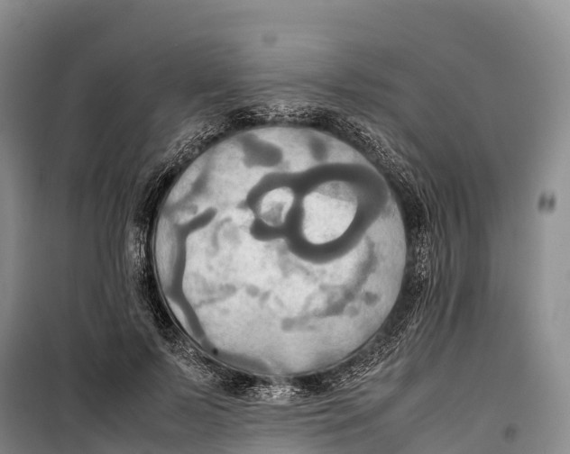 X0000099230695200805151630