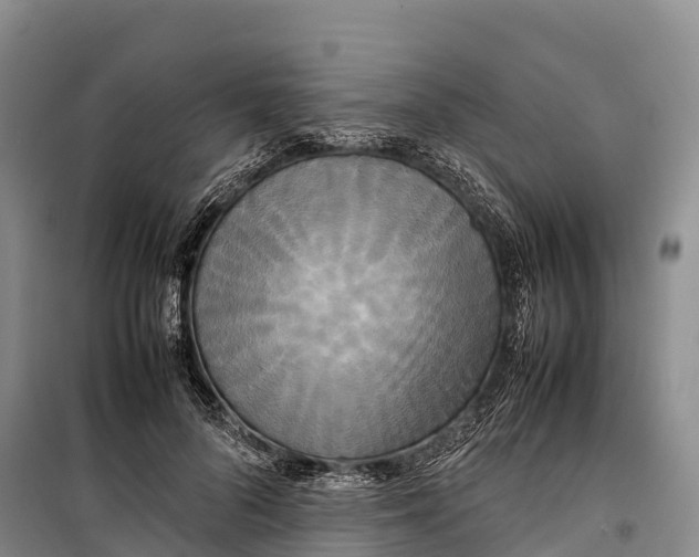 X0000099230696200805151630