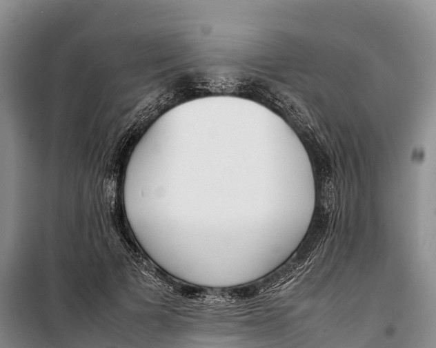 X0000099230697200805151630