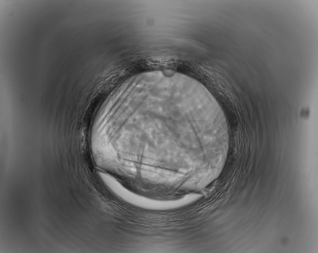 X0000099230699200805151630